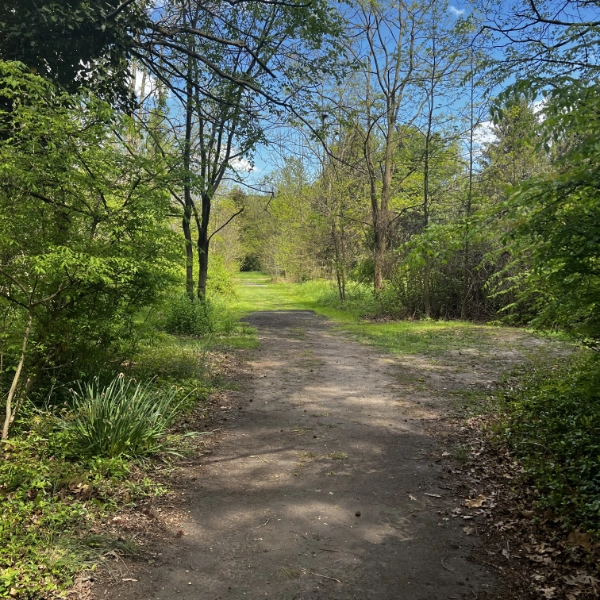 Walking Trail In New Jersey 600X600